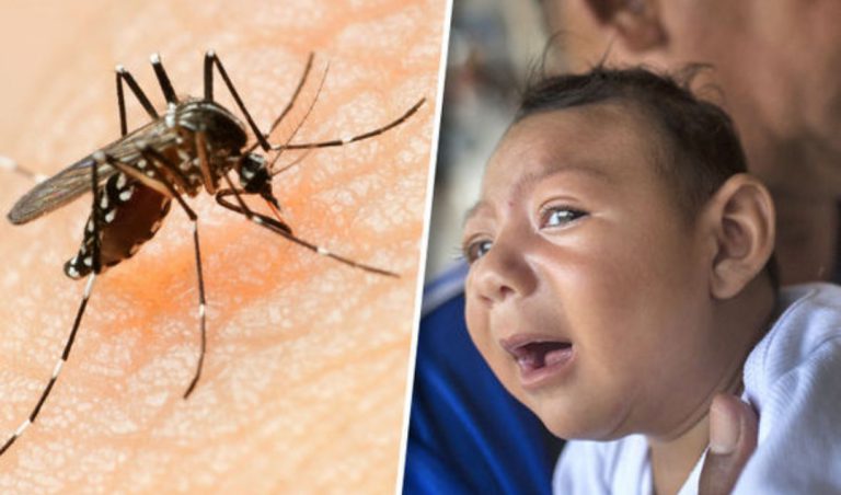 ALERT: Zika Virus outbreaks in India, 32 Cases in Rajasthan, Bihar on high-alert