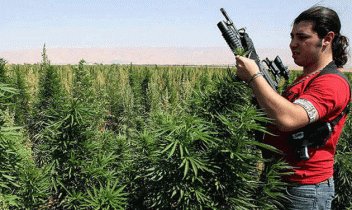 Analysis Hezbollah S Gangsters Financing The Militias Through Drugs Prostitution And Extortion