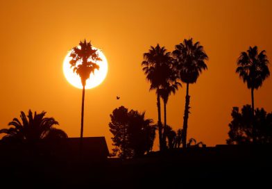 How Vulnerable Nations Are Redefining Survival in a Warming World