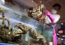 Russian crab craze in S.Korea stirs ethical debate over Ukraine crisis