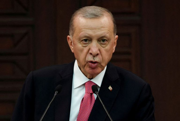 Turkey’s Erdogan: The UN Security Council needs to be reformed