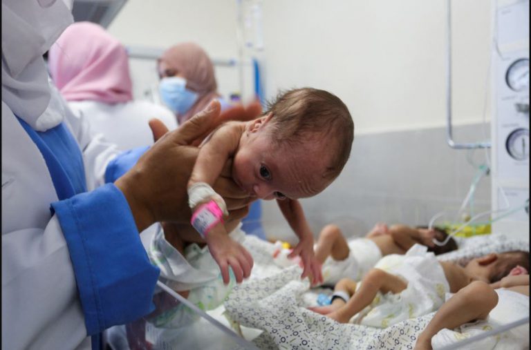 Palestinian Red Crescent, UN agencies evacuate Al Shifa premature babies