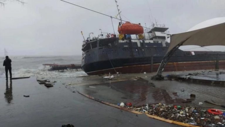 Turkish cargo ship with 12 crew sinks in Black Sea