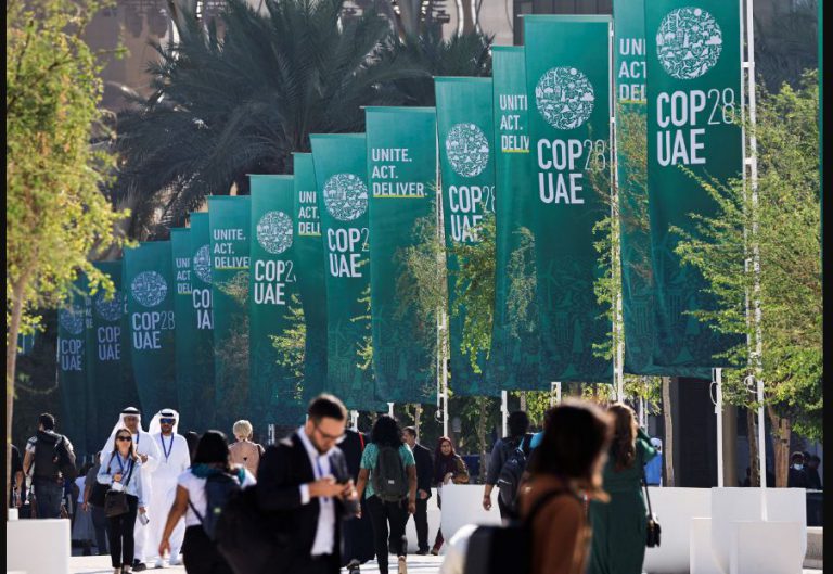 OPEC members push against including fossil fuels phase-out in COP28 deal