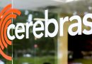 Cerebras Systems Pauses U.S. IPO Amid Strong Funding, Signals Confidence in AI Growth
