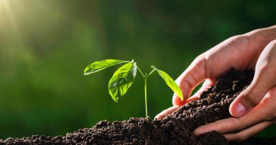 LIFESTYLE: Why Acts of Renewal Matter More Than Ever