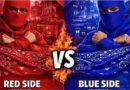 When “Red vs Blue” Became a Panic: What a Viral School Trend Reveals About the Social Media Divide Between Parents and Teenagers