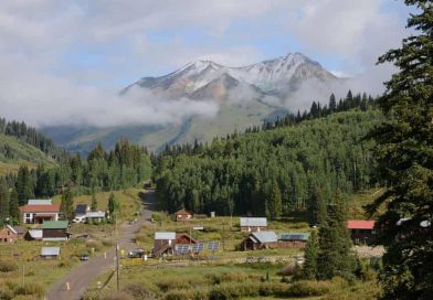 Warming reshapes Colorado alpine meadows as long-term study signals global ecosystem shift
