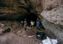 Mozambique Scientist Studies Cave Ecosystems to Advance Biodiversity Research in Gorongosa