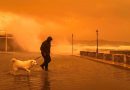 Deadly storm batters Greece, floods and transport chaos hit Athens region