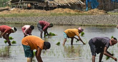 Gulf tensions ripple into India’s farms as fertiliser fears grip Punjab growers