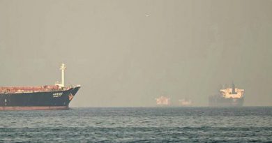 India Decries Fujairah Drone Strike, Presses for Unhindered Hormuz Transit