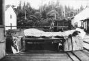 Canada’s 1937 ‘Sea Monster’ Mystery Still Divides Scientists as Basking Shark Debate Resurfaces