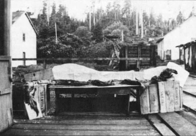 Canada’s 1937 ‘Sea Monster’ Mystery Still Divides Scientists as Basking Shark Debate Resurfaces