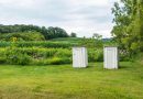 Amish Sanitation Dispute in Michigan Tests Limits of Religious Freedom and Public Health Rules