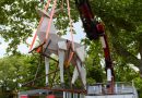 Venice Biennale 2026 Opens With Political Disputes, Provocative Performances and Experimental Installations