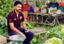 Punjab Farmer Rejects Migration Route, Builds Profitable Vegetable Farming Business Near Mansa
