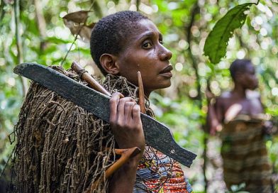 UN Warns Forest-Dependent Communities Remain Trapped in Extreme Poverty Despite $1.5 Trillion Global Forest Economy