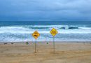 Shark Attack Kills Man Near Tourist Island Off Western Australia Coast