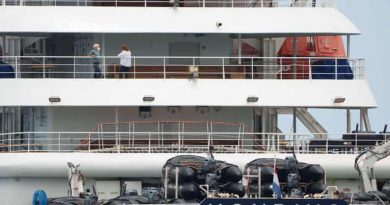 Cruise Ships Face Persistent Infection Risks Despite Stricter Health Controls, Experts Say