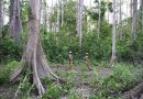 Isolation Under Siege as India’s Sentinelese Face Growing Outside Threats