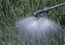 EU Waives Fertilizer Tariffs as Hormuz Disruption Fuels Global Supply Fears