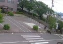 Bear Rampage Stokes Alarm as Japan Grapples With Rising Wildlife Attacks