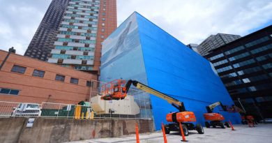 Whale Mural Lawsuit Casts Shadow Over Dallas World Cup Preparations