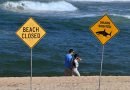 Shark Kills Spearfisher Off Western Australia Coast