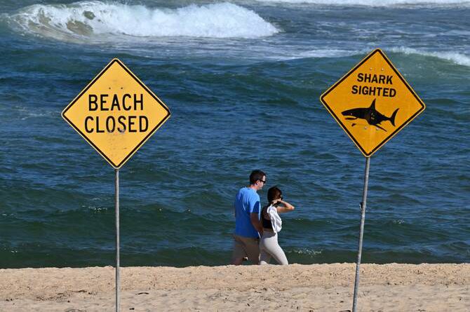 Shark Kills Spearfisher Off Western Australia Coast