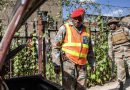 Johannesburg Massacre Sparks Manhunt After Gunmen Kill 12 in Settlement Rampage