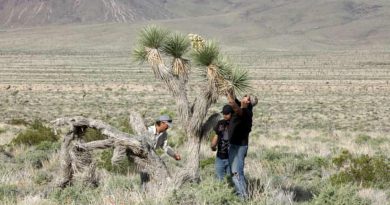 Mining Ambitions Rekindle Debate Over California’s Historic Mineral Belt Near Lone Pine