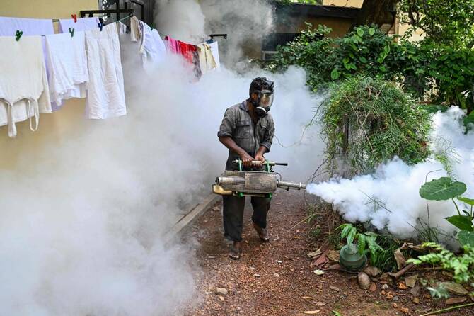 Sri Lanka Grapples With Escalating Dengue Crisis as Infections Surge Nationwide