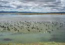 Mongolia’s Thawing Permafrost Reshapes Landscapes, Water Systems and Traditional Herding Economy