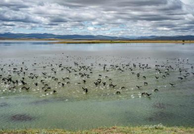 Mongolia’s Thawing Permafrost Reshapes Landscapes, Water Systems and Traditional Herding Economy