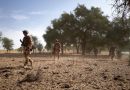 Sahel Forests Emerge as Strategic Strongholds in Escalating Militant Insurgency