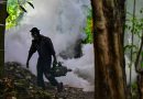 Sri Lanka Mobilizes Military as Dengue Surge Strains Hospitals and Raises Alarm