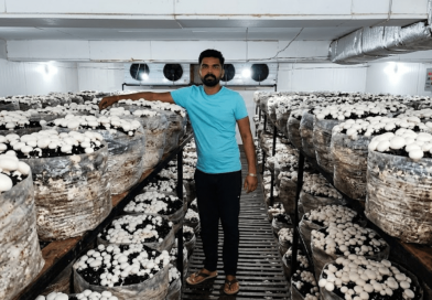 From Canada Migration Plans to a ₹3 Crore Mushroom Enterprise: Haryana Brothers Build High-Value Farming Model