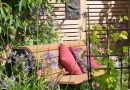 Summer’s Brightest Days Offer the Best Opportunity to Plan Next Season’s Garden