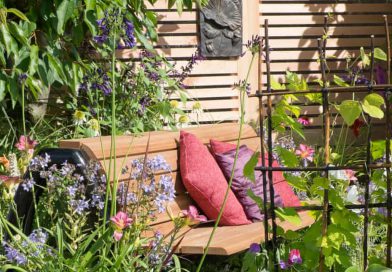 Summer’s Brightest Days Offer the Best Opportunity to Plan Next Season’s Garden