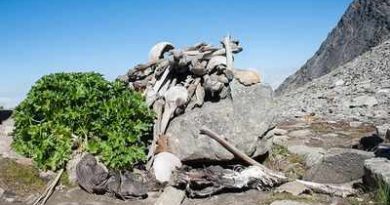 Genomic Analysis of Himalayan ‘Skeleton Lake’ Reveals Distinct Migrations Separated by a Millennium