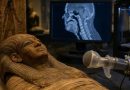 Scientists Recreate Sound from 3,000-Year-Old Egyptian Priest Using CT Scans and 3D-Printed Vocal Tract