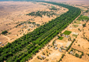 Africa’s Great Green Wall Expands Landscape Restoration Across the Sahel to Combat Climate Change and Desertification