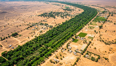 Africa’s Great Green Wall Expands Landscape Restoration Across the Sahel to Combat Climate Change and Desertification