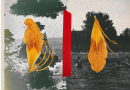 Growing Ecological Loss Spurs Calls for Public Recognition of Environmental Grief