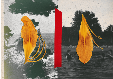 Growing Ecological Loss Spurs Calls for Public Recognition of Environmental Grief