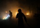 Fontainebleau Wildfires Scorch 1,900 Hectares as Arson Probe Widens